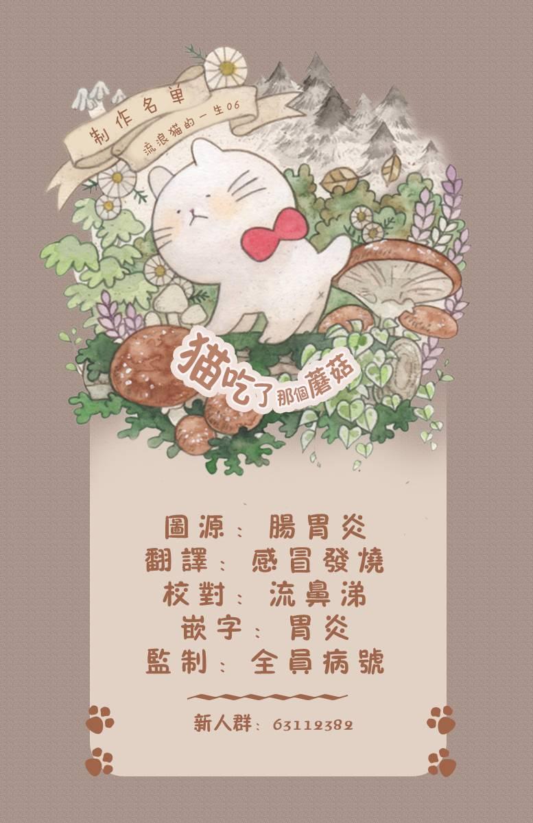 流浪猫的一生6话图