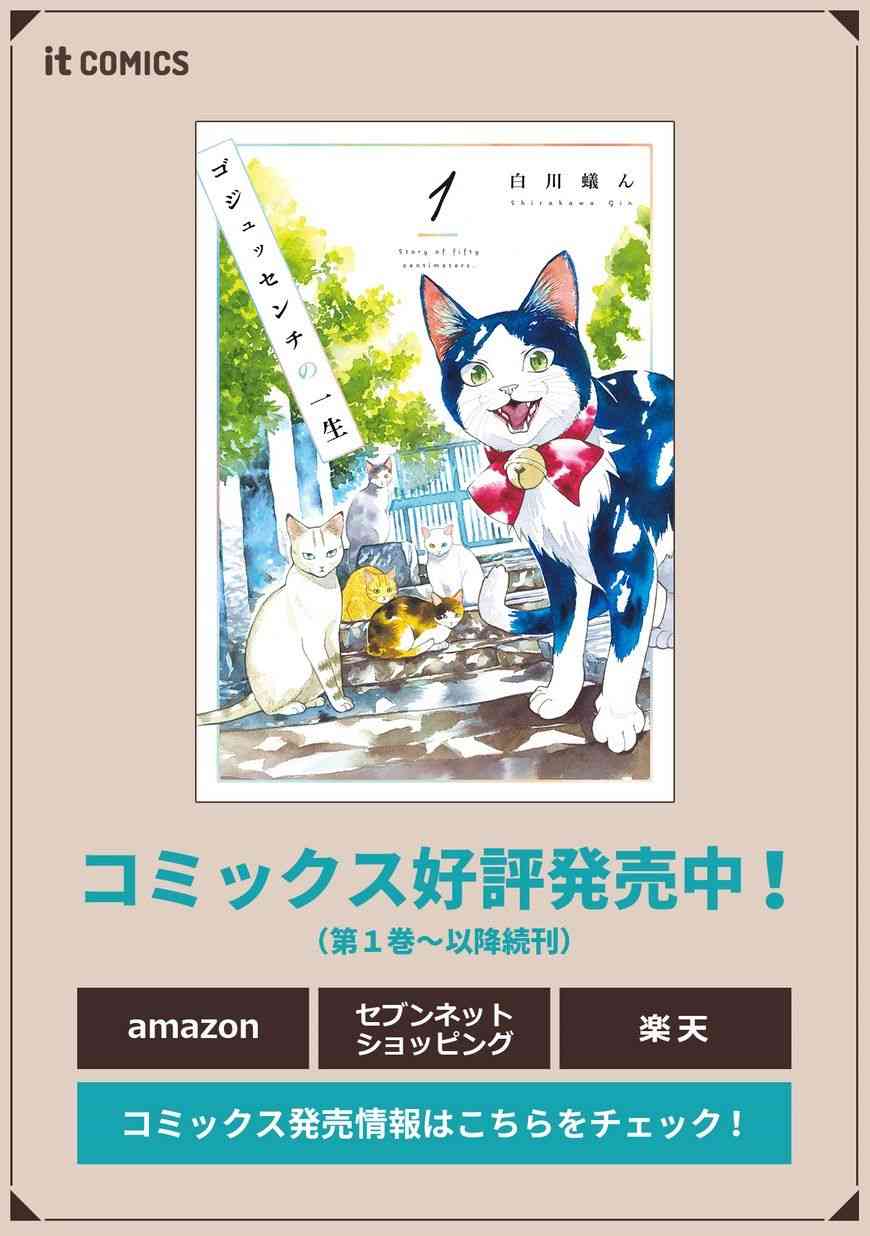 流浪猫的一生8话图