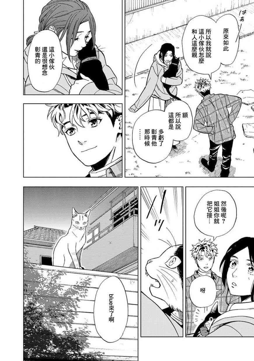 流浪猫的一生8话图