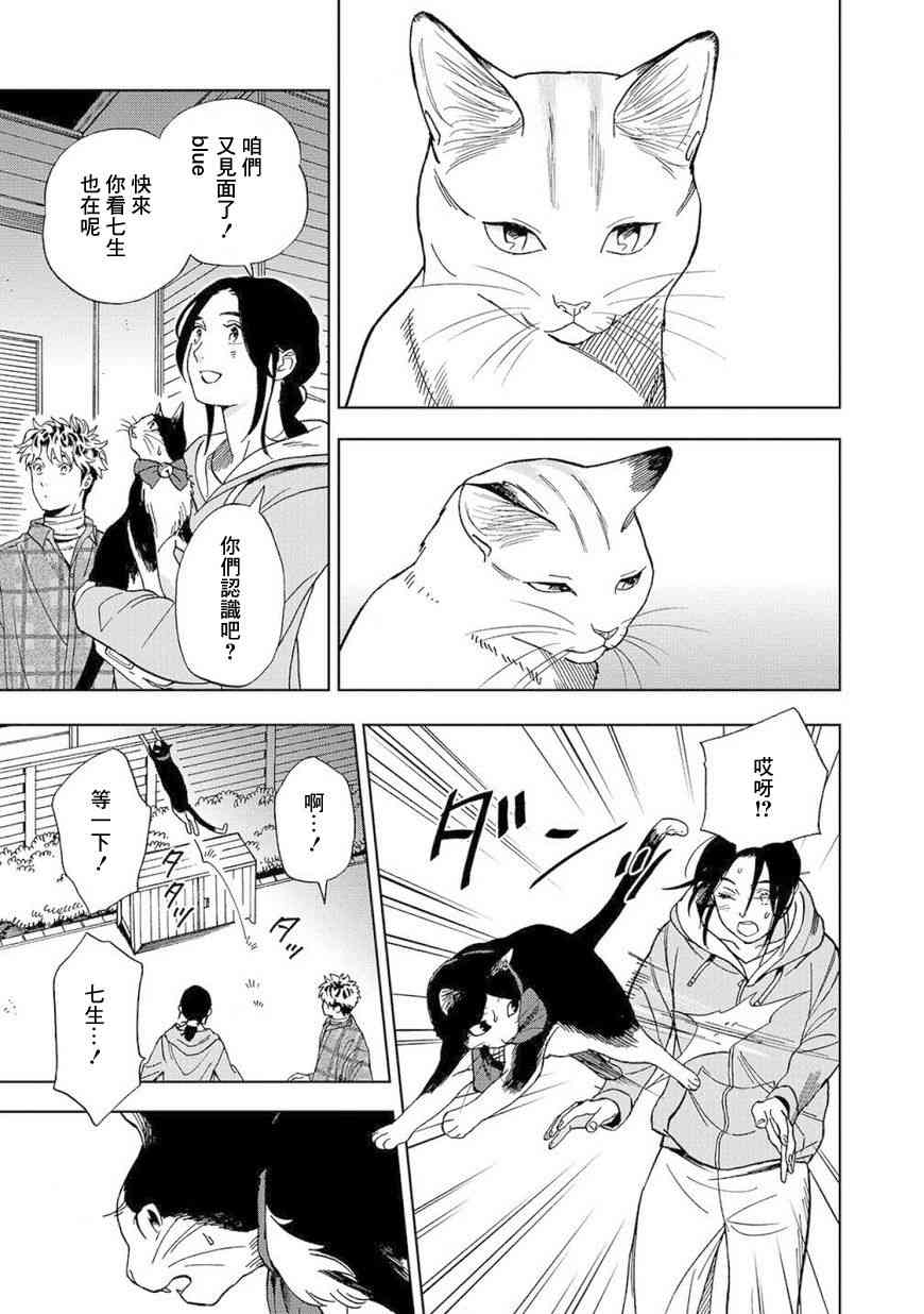 流浪猫的一生8话图