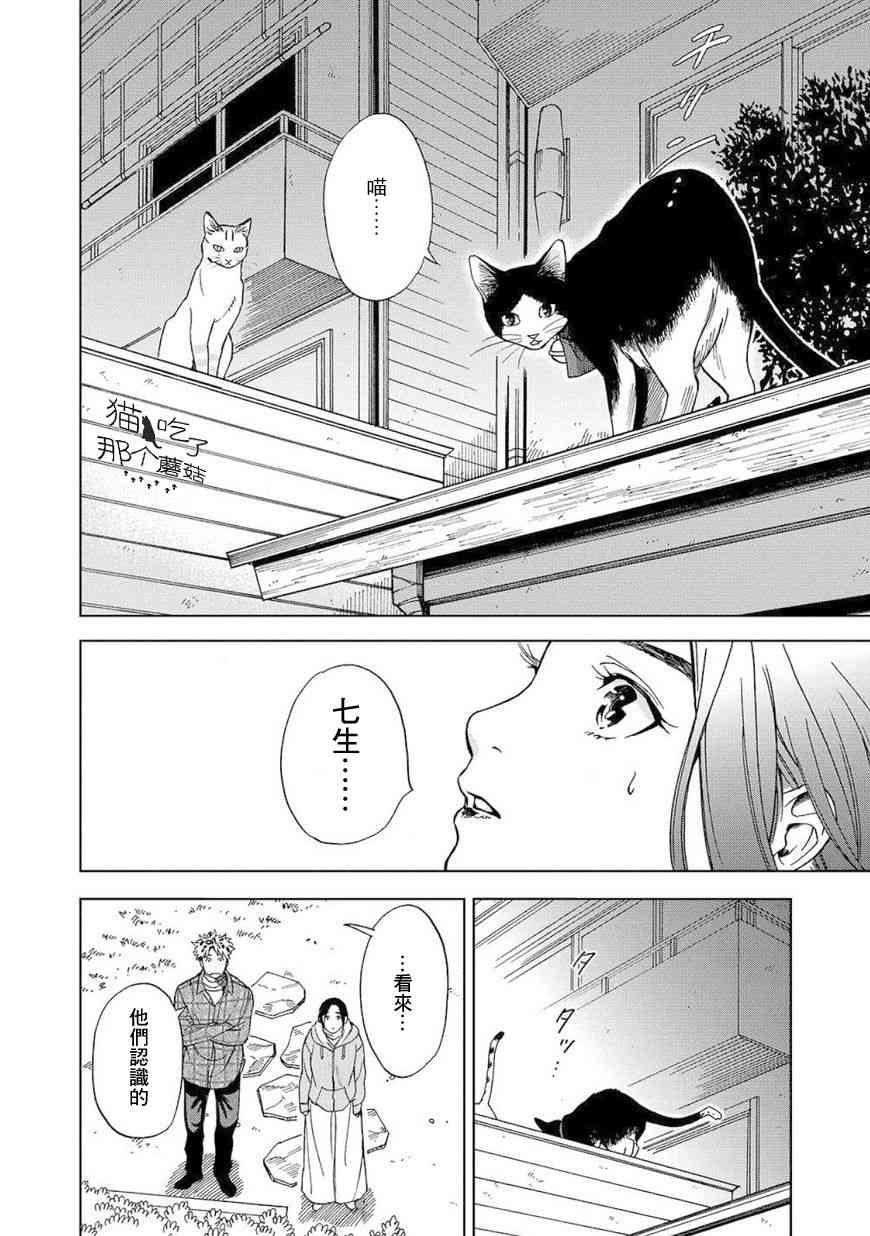 流浪猫的一生8话图