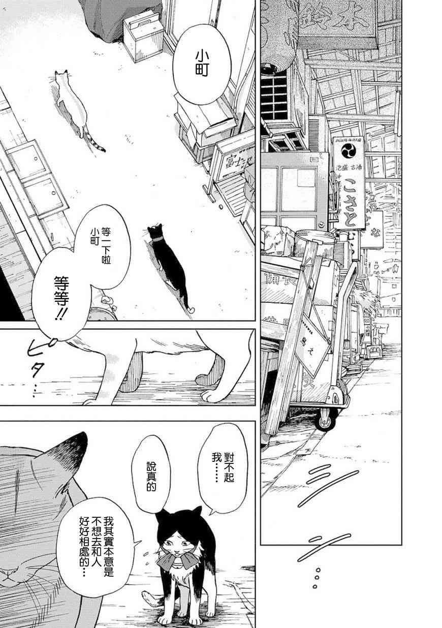 流浪猫的一生8话图