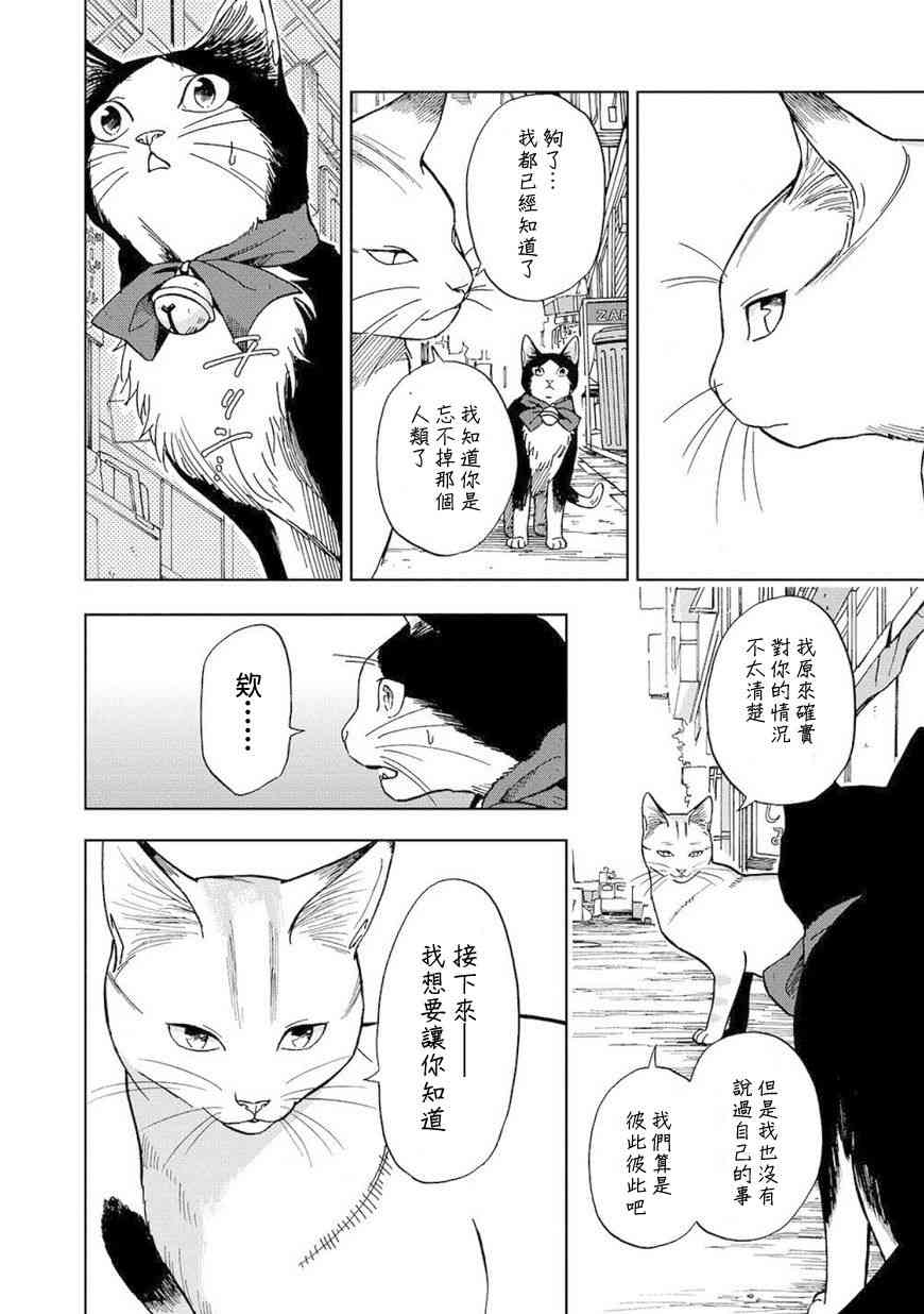 流浪猫的一生8话图