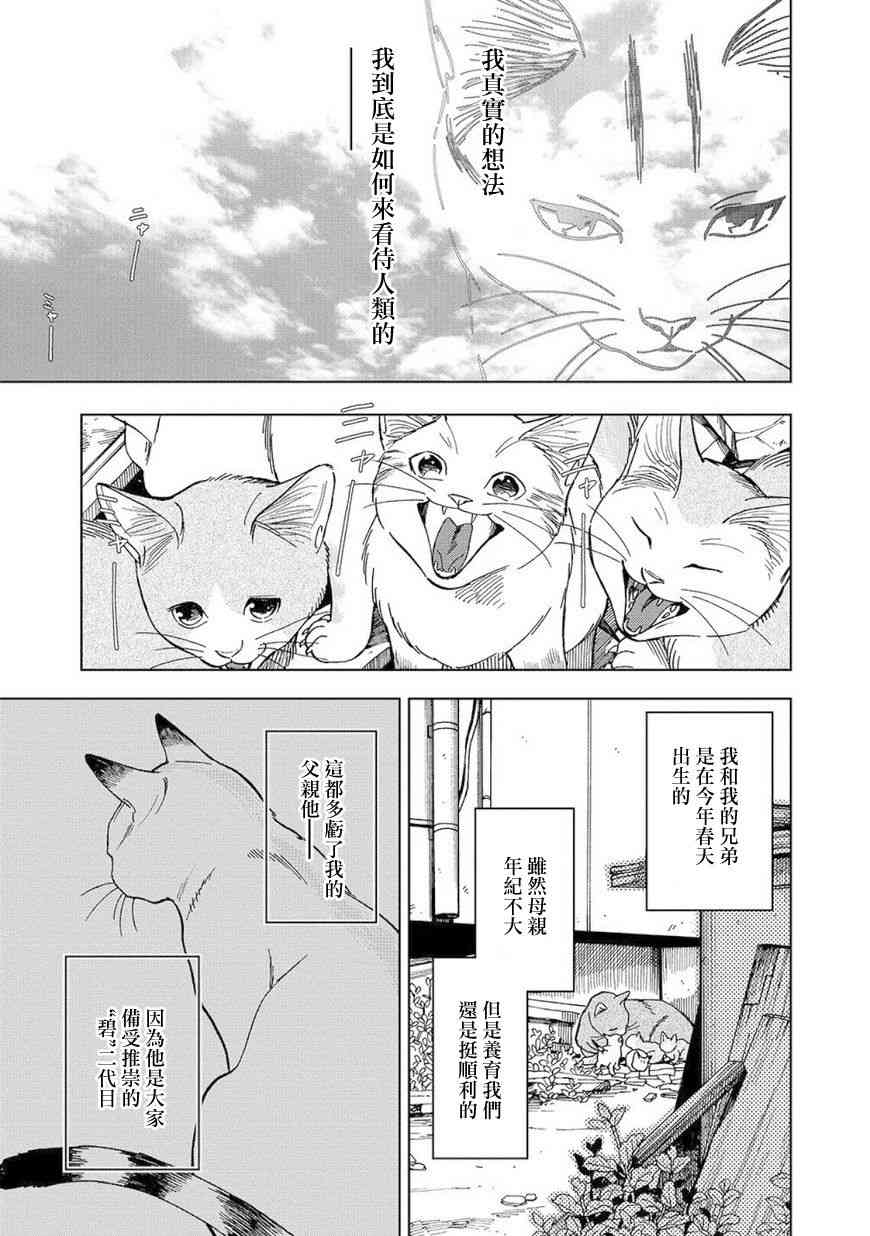 流浪猫的一生8话图