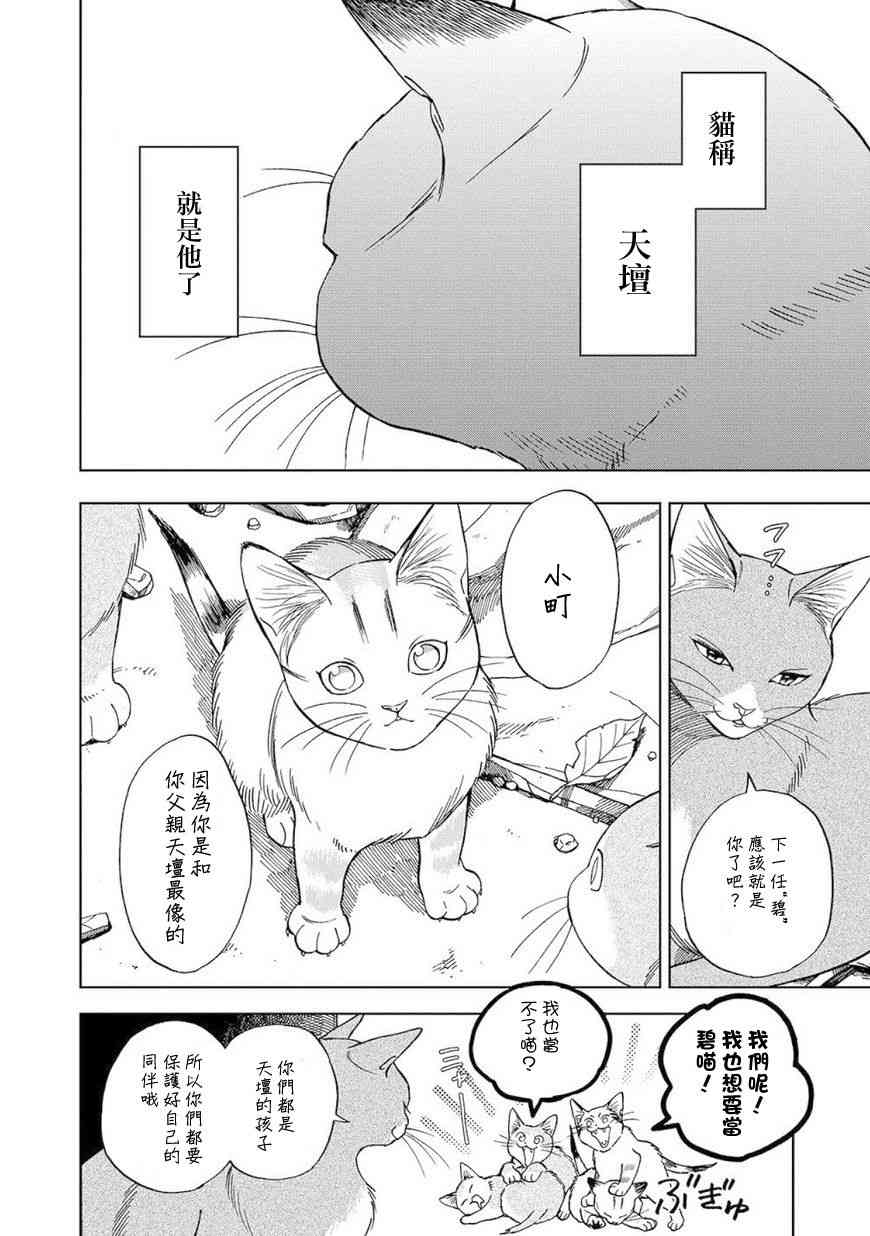 流浪猫的一生8话图