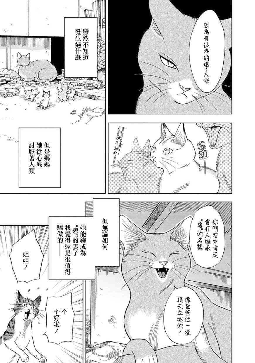 流浪猫的一生8话图