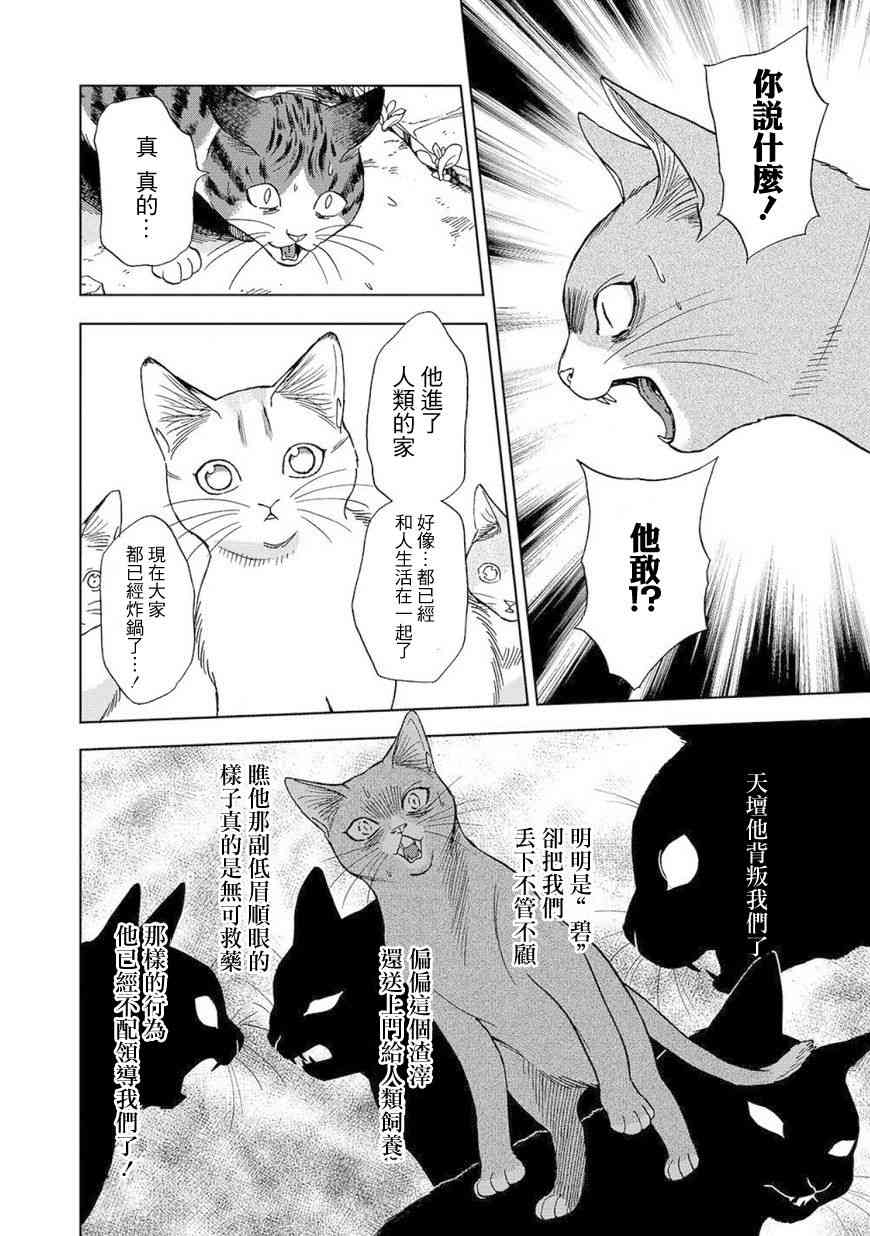 流浪猫的一生8话图