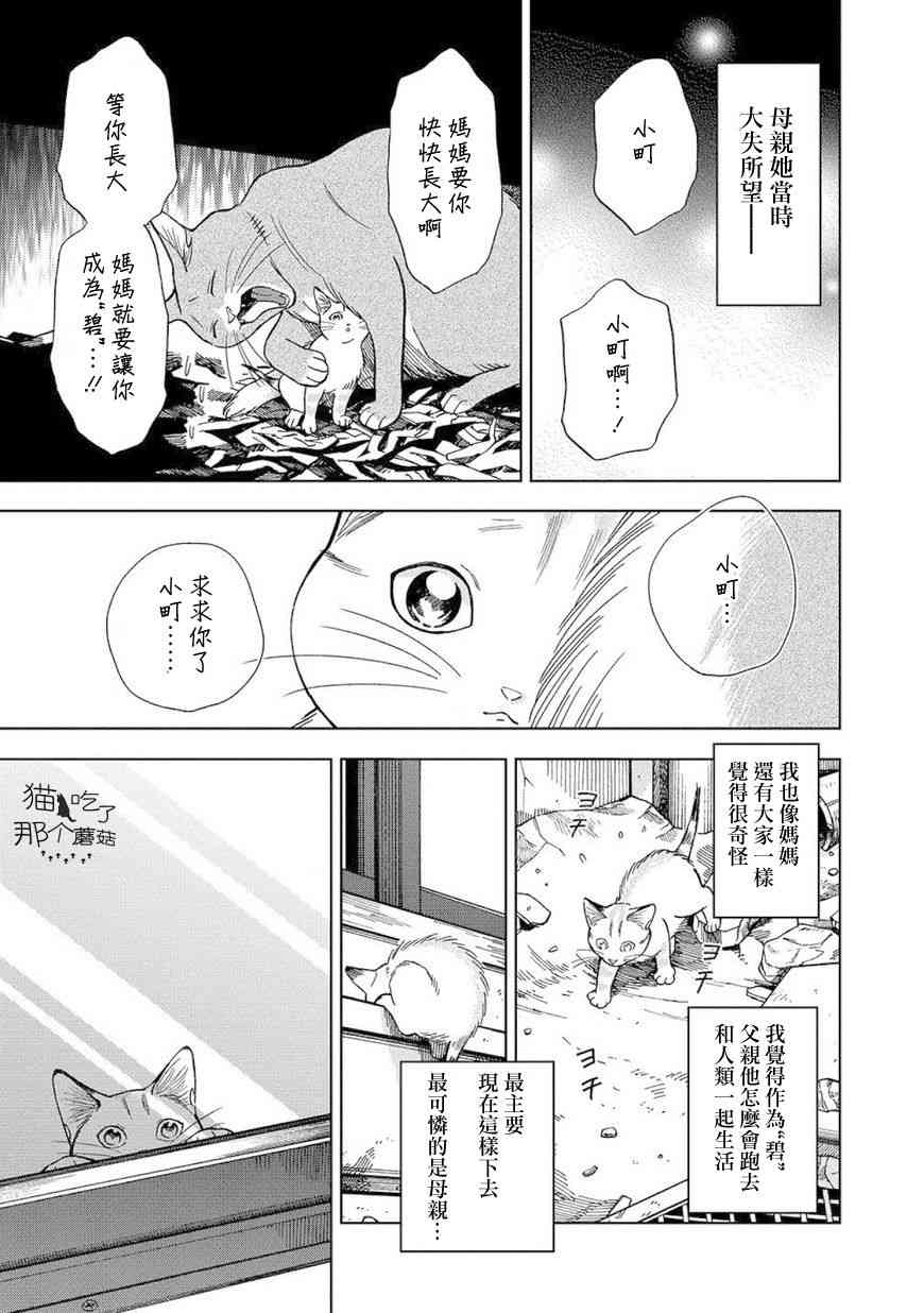 流浪猫的一生8话图