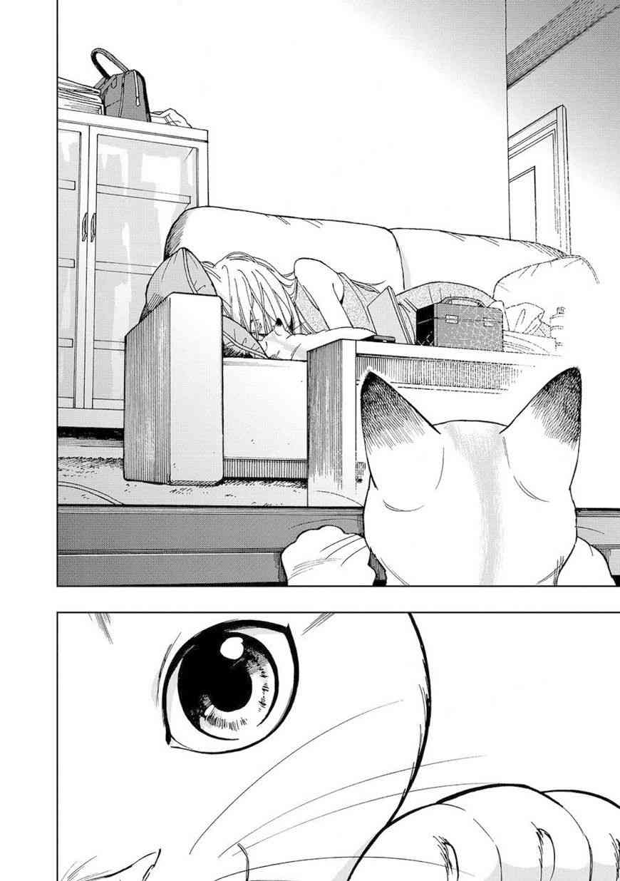 流浪猫的一生8话图