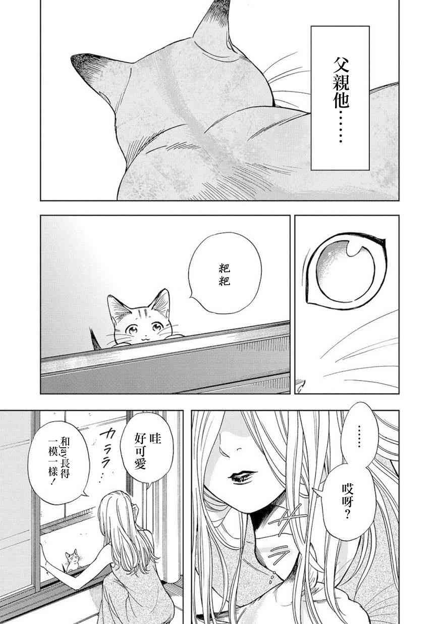 流浪猫的一生8话图