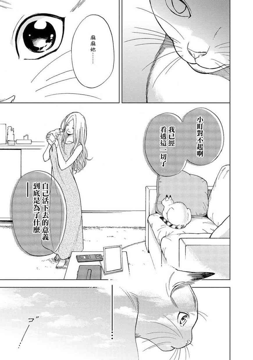 流浪猫的一生8话图