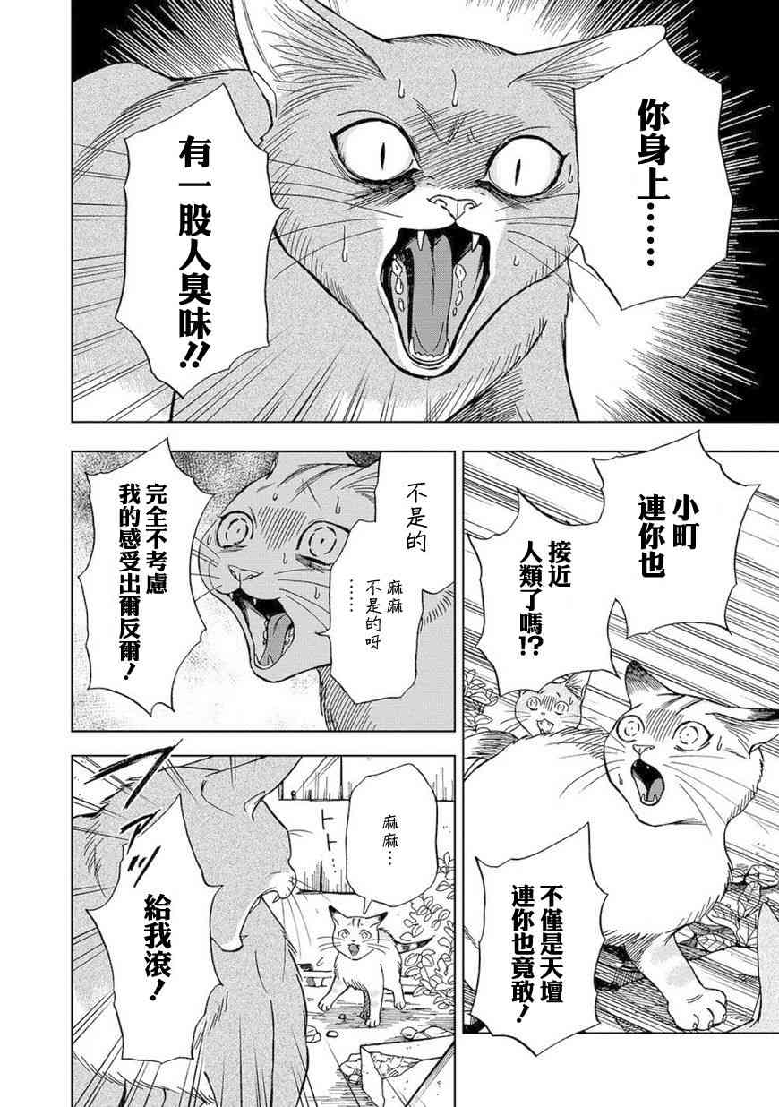 流浪猫的一生8话图