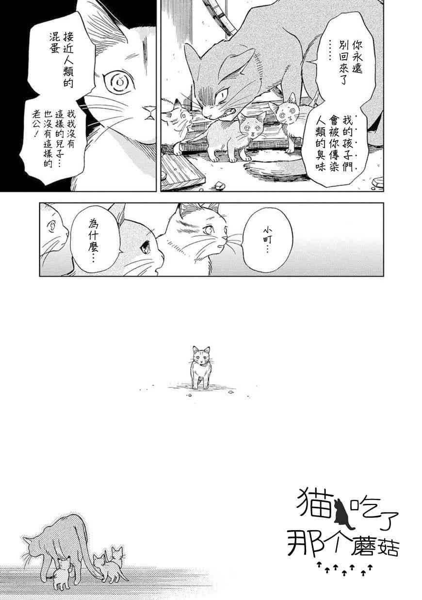 流浪猫的一生8话图