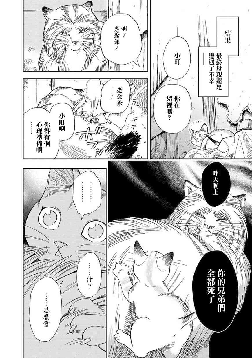 流浪猫的一生8话图