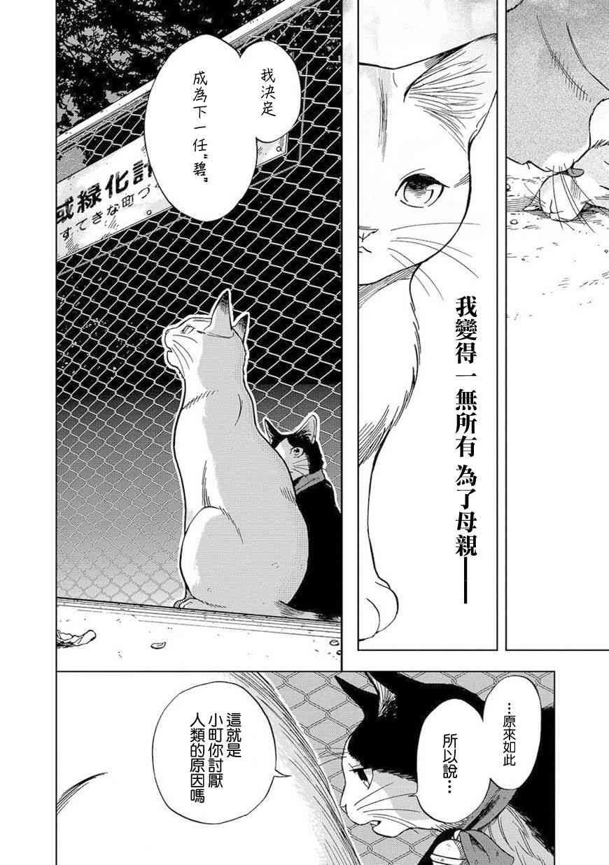 流浪猫的一生8话图