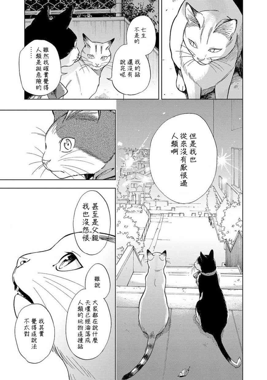 流浪猫的一生8话图