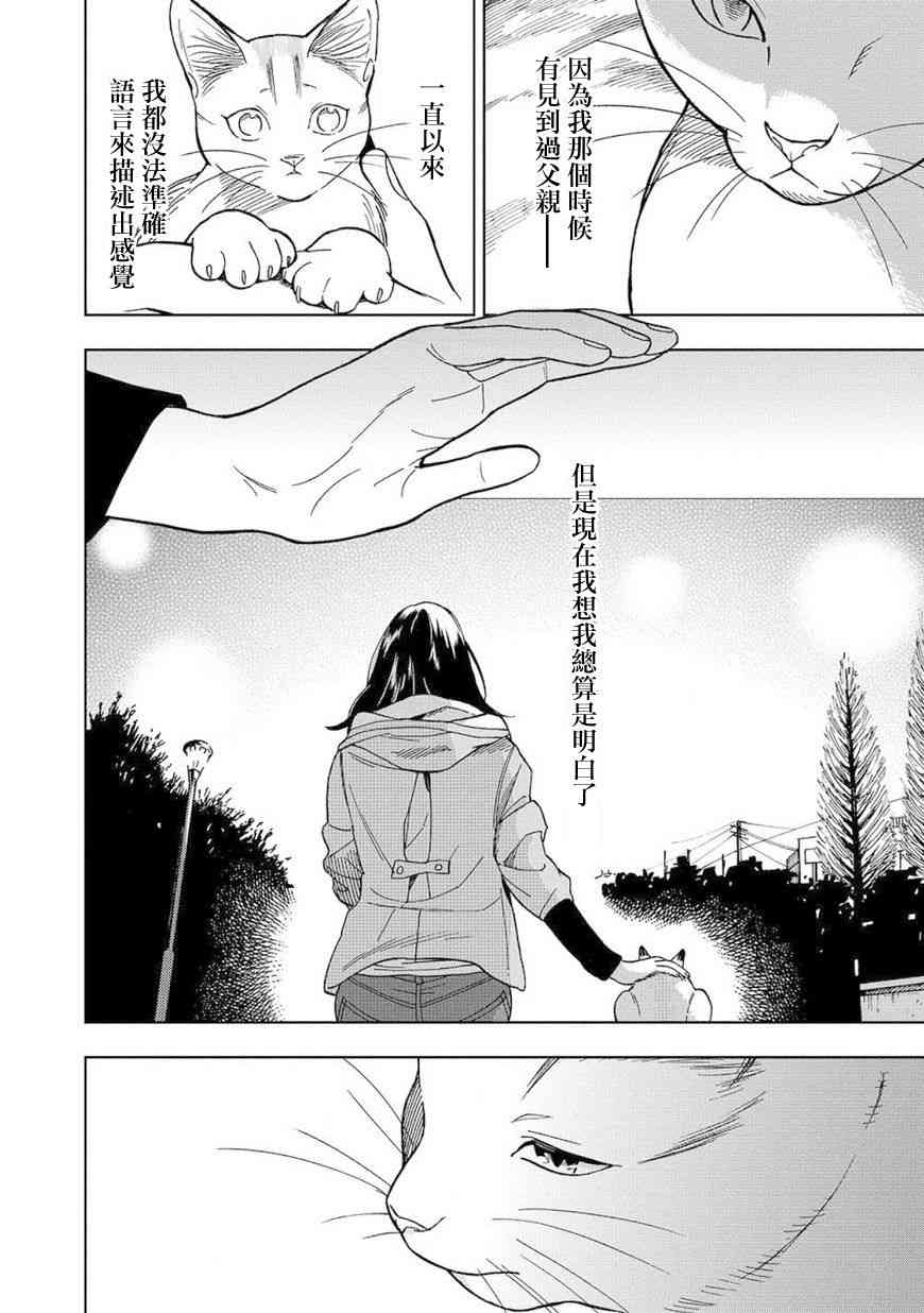 流浪猫的一生8话图