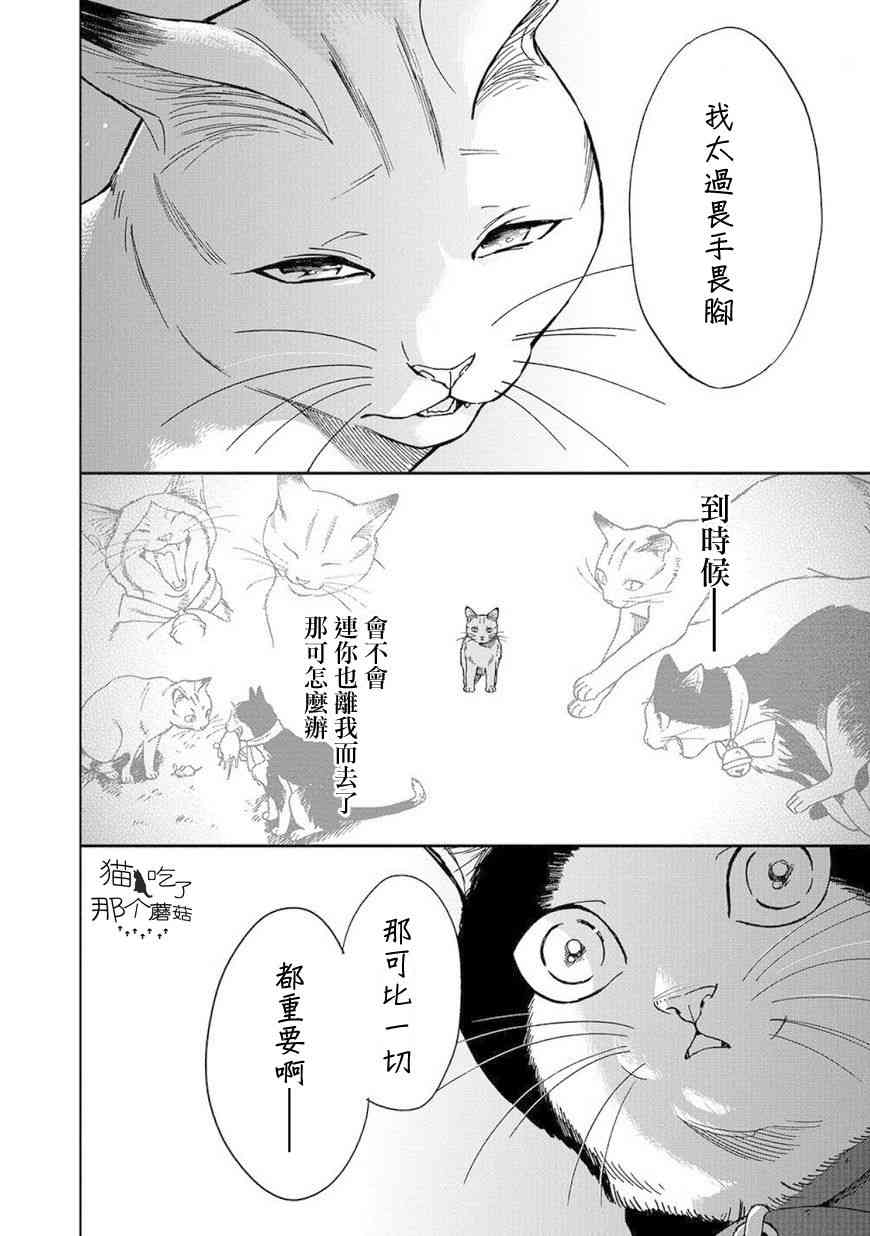 流浪猫的一生8话图