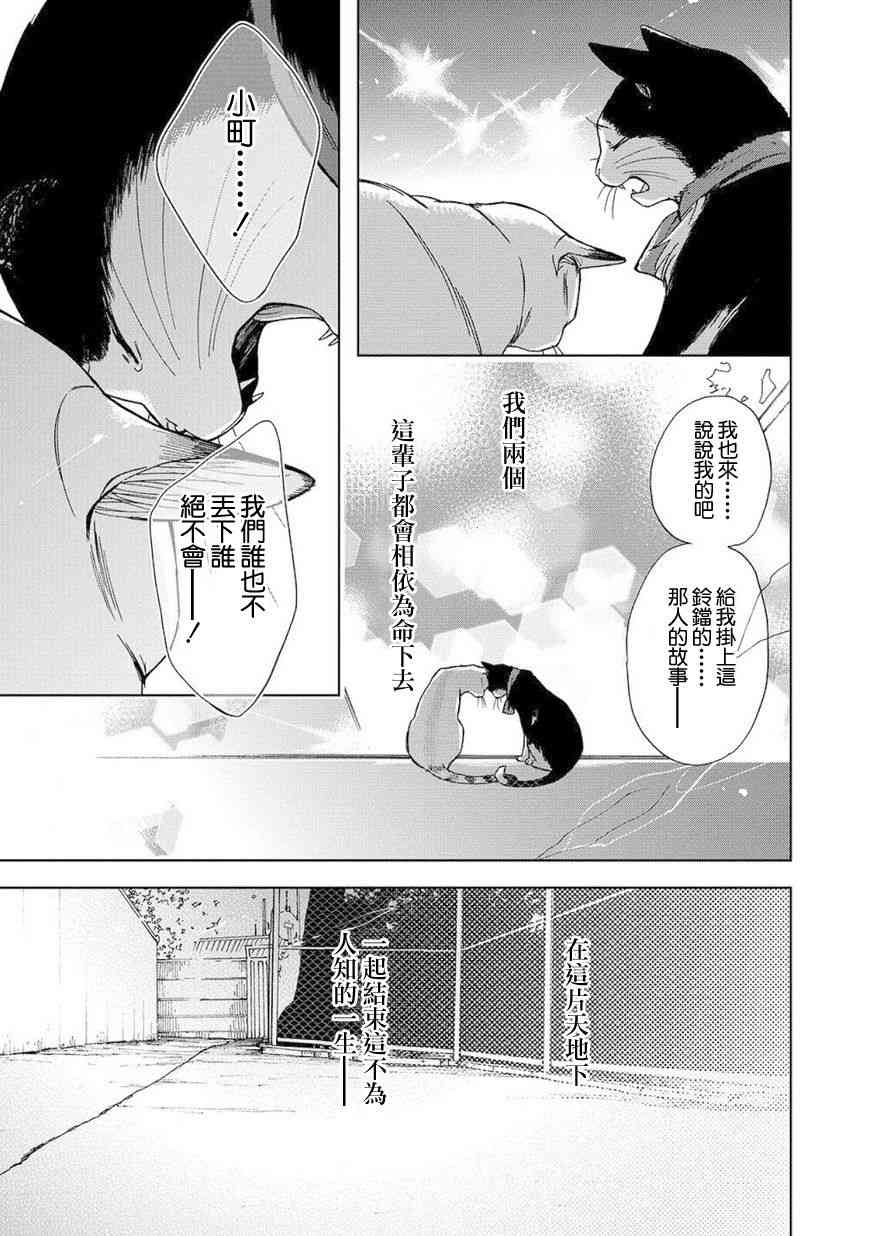 流浪猫的一生8话图