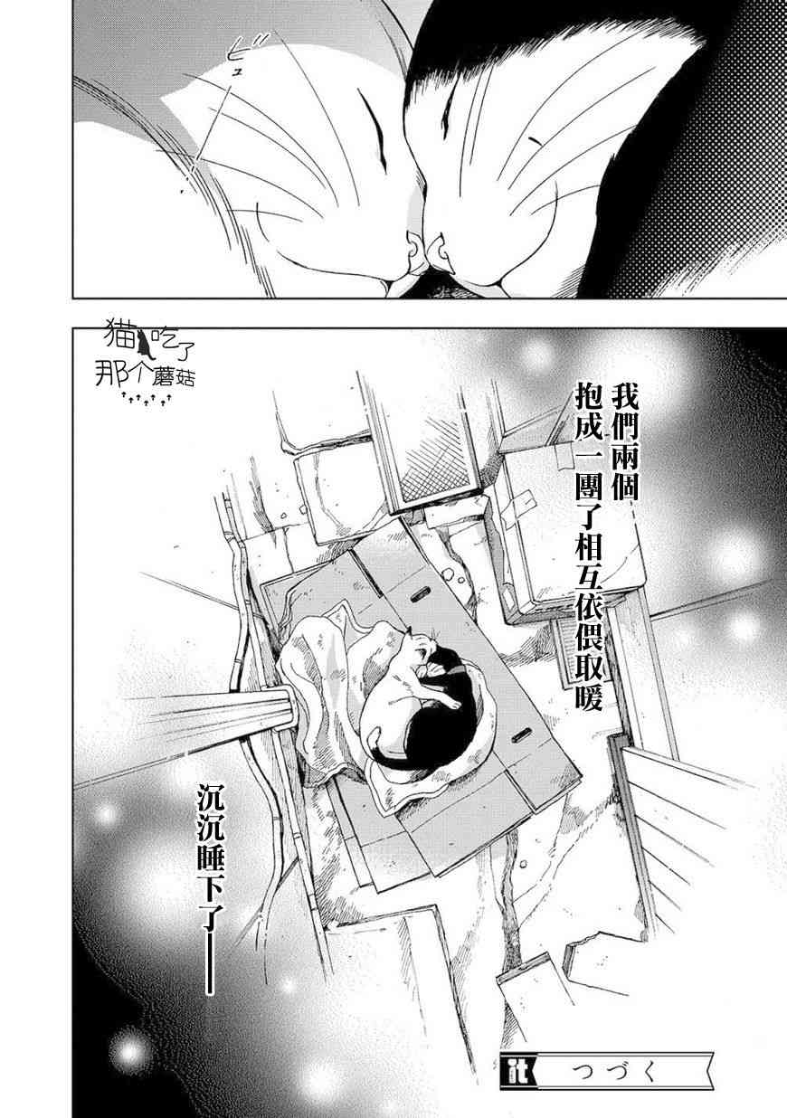 流浪猫的一生8话图