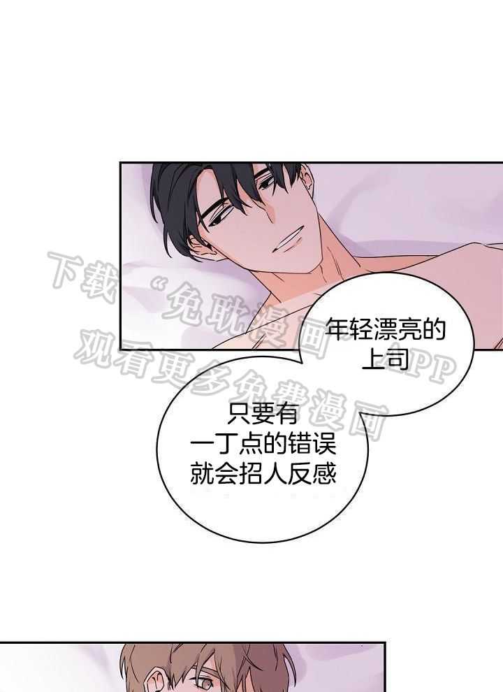 老板的小宝贝第40话图