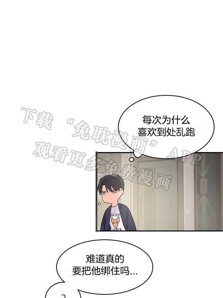 老板的小宝贝第41话图