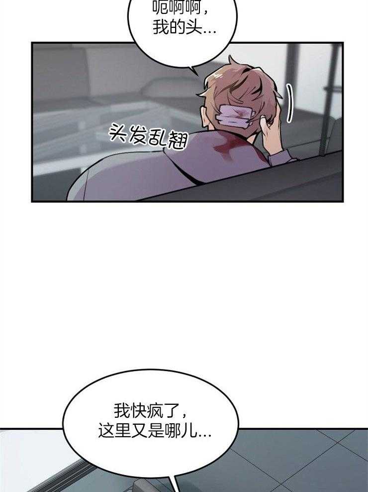 老板的小宝贝第7话图