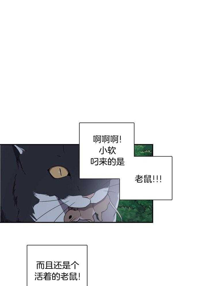 老板的小宝贝第71话图