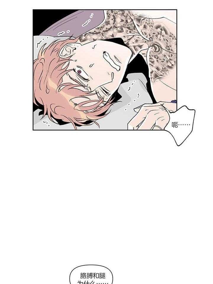 浪漫箱子第31话图