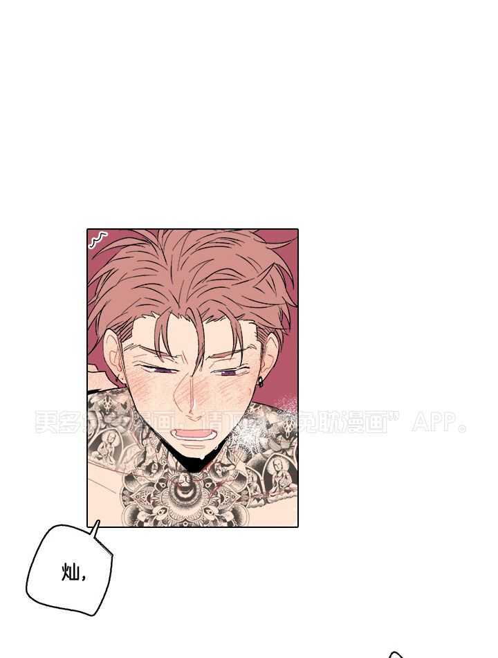 浪漫箱子第5话图