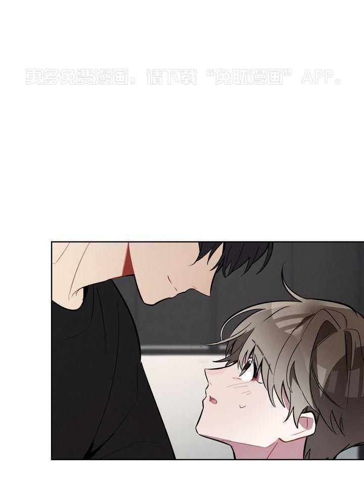 冷圈正主发糖了第19话图