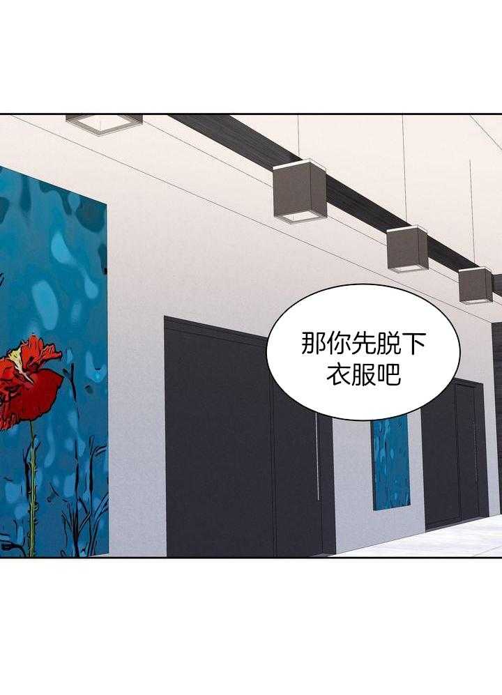 冷圈正主发糖了第19话图