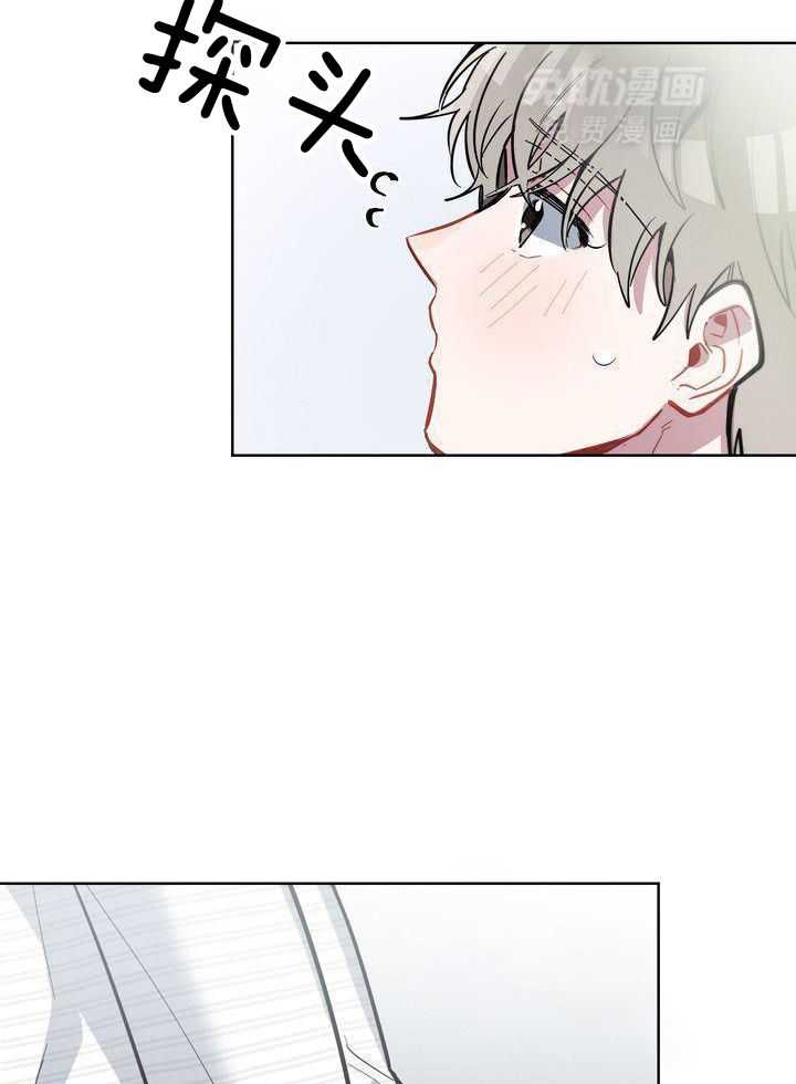 冷圈正主发糖了第24话图