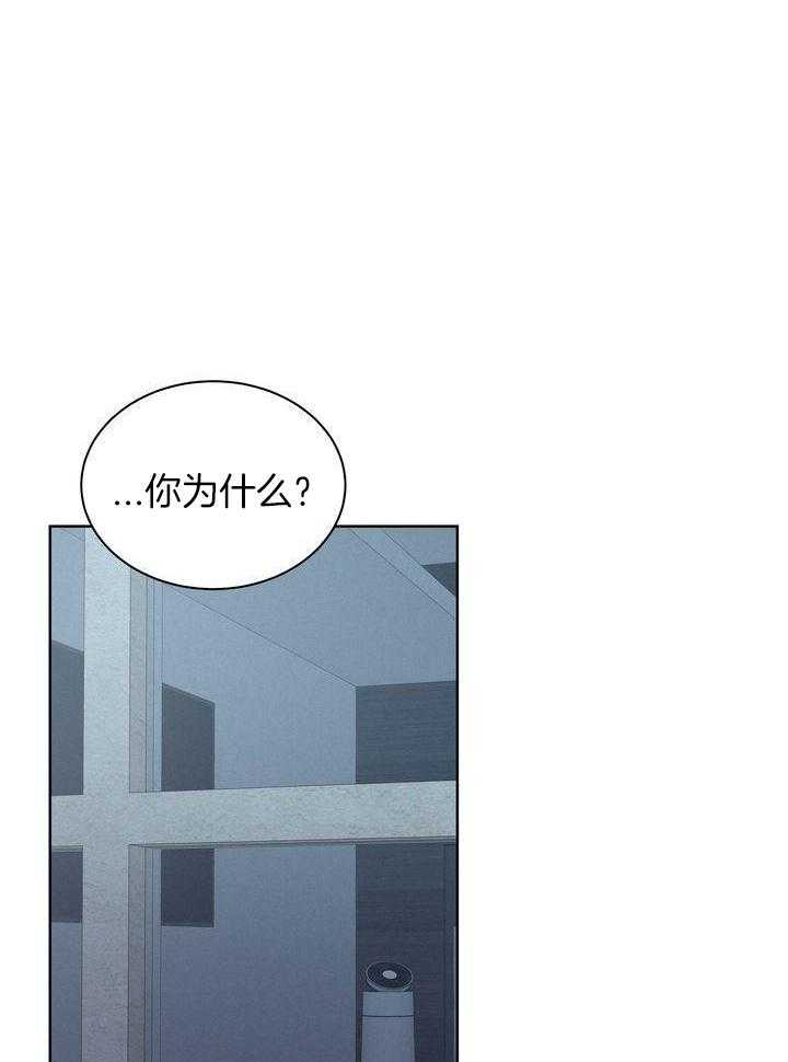 冷圈正主发糖了第25话图