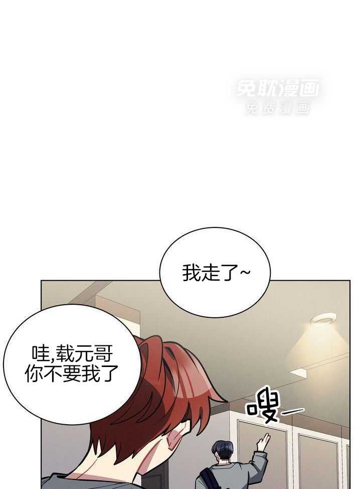 冷圈正主发糖了第33话图