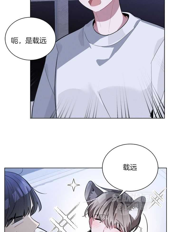 冷圈正主发糖了第49话图