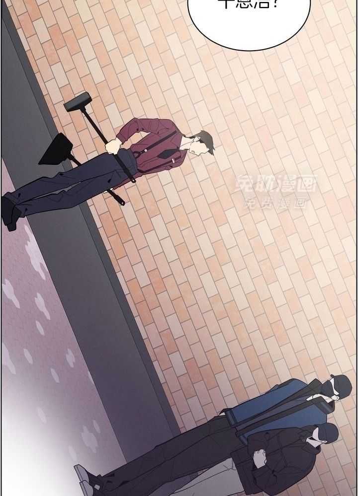 冷圈正主发糖了第53话图