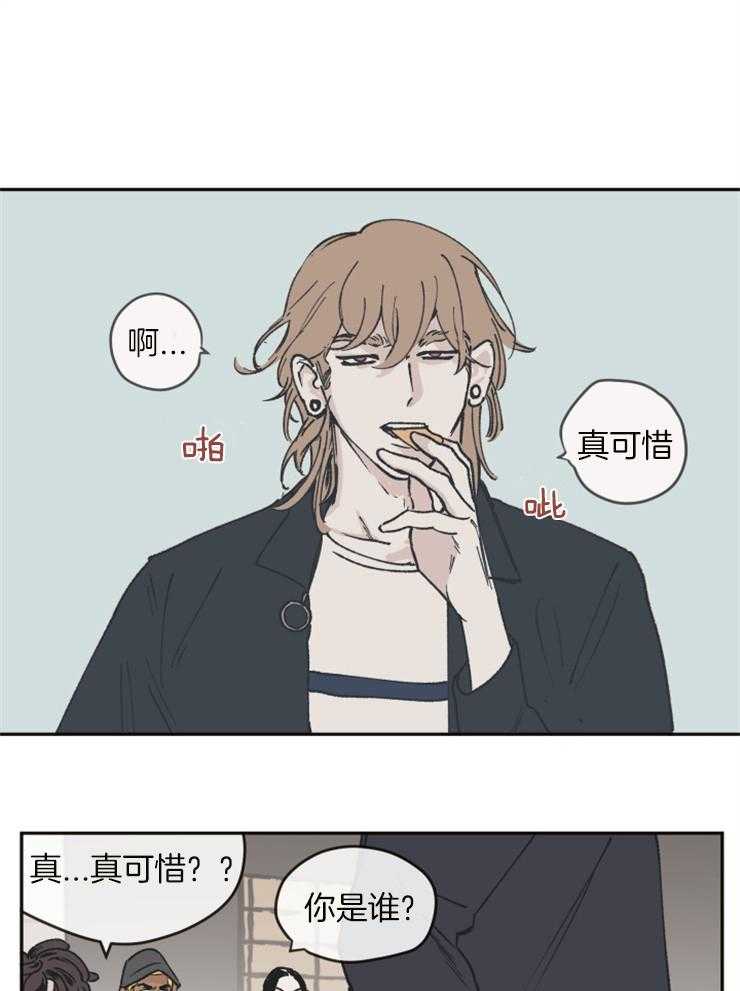 垃圾堆里捡男友第44话图