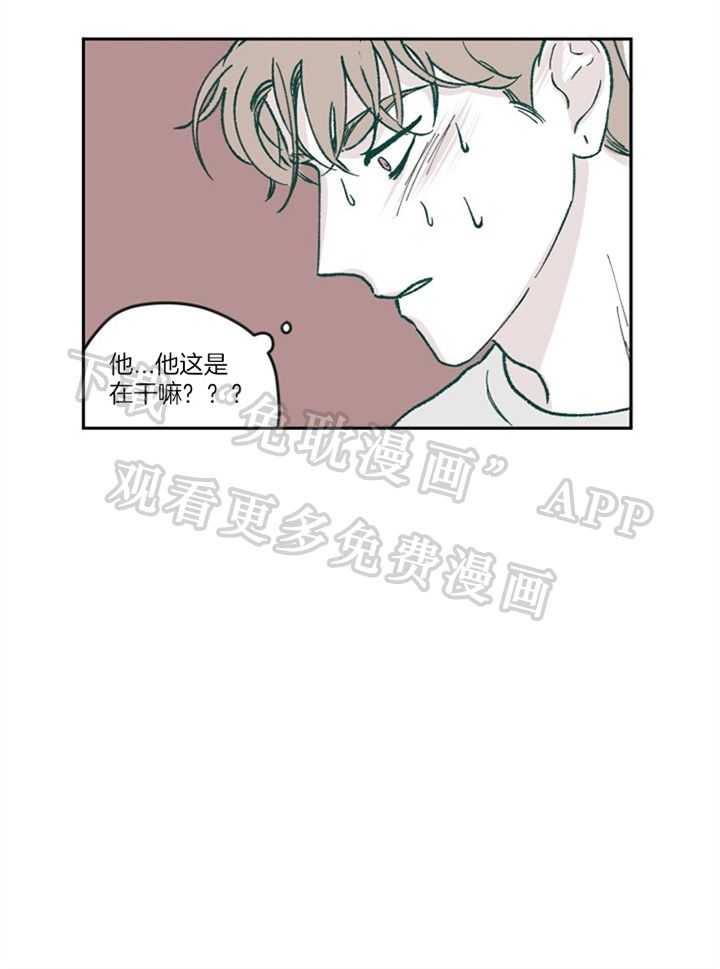 垃圾堆里捡男友第69话图