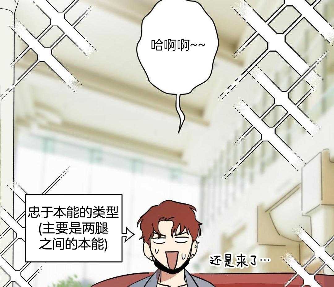 领带的用途第5话图