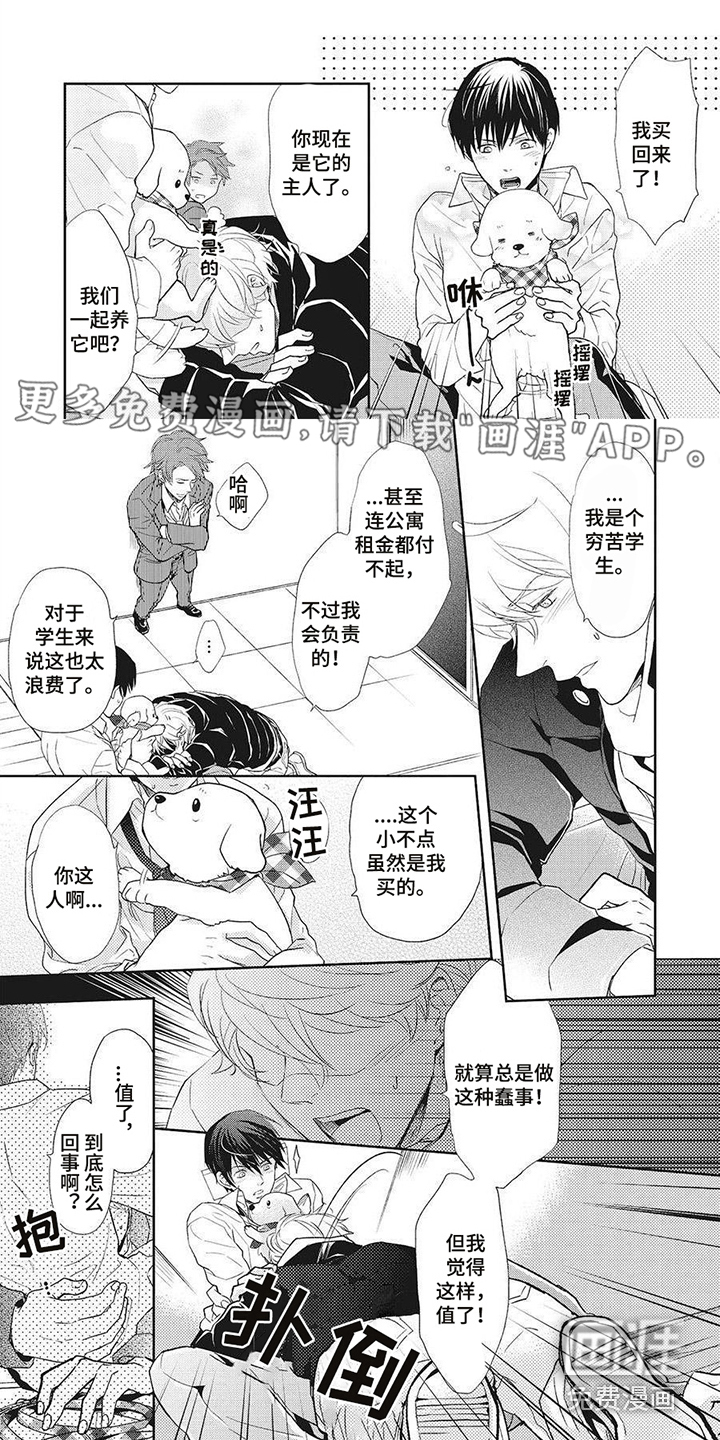 狼的偏爱第11话图