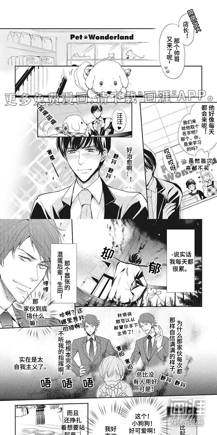 狼的偏爱第5话图