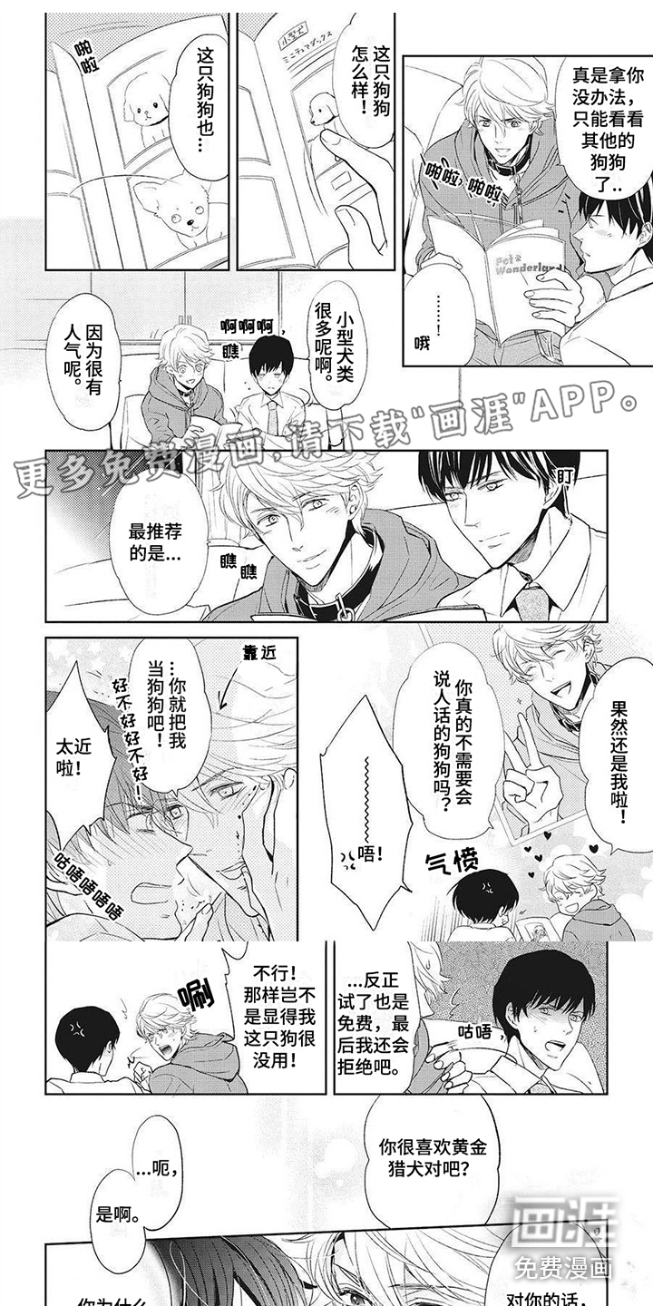 狼的偏爱第6话图