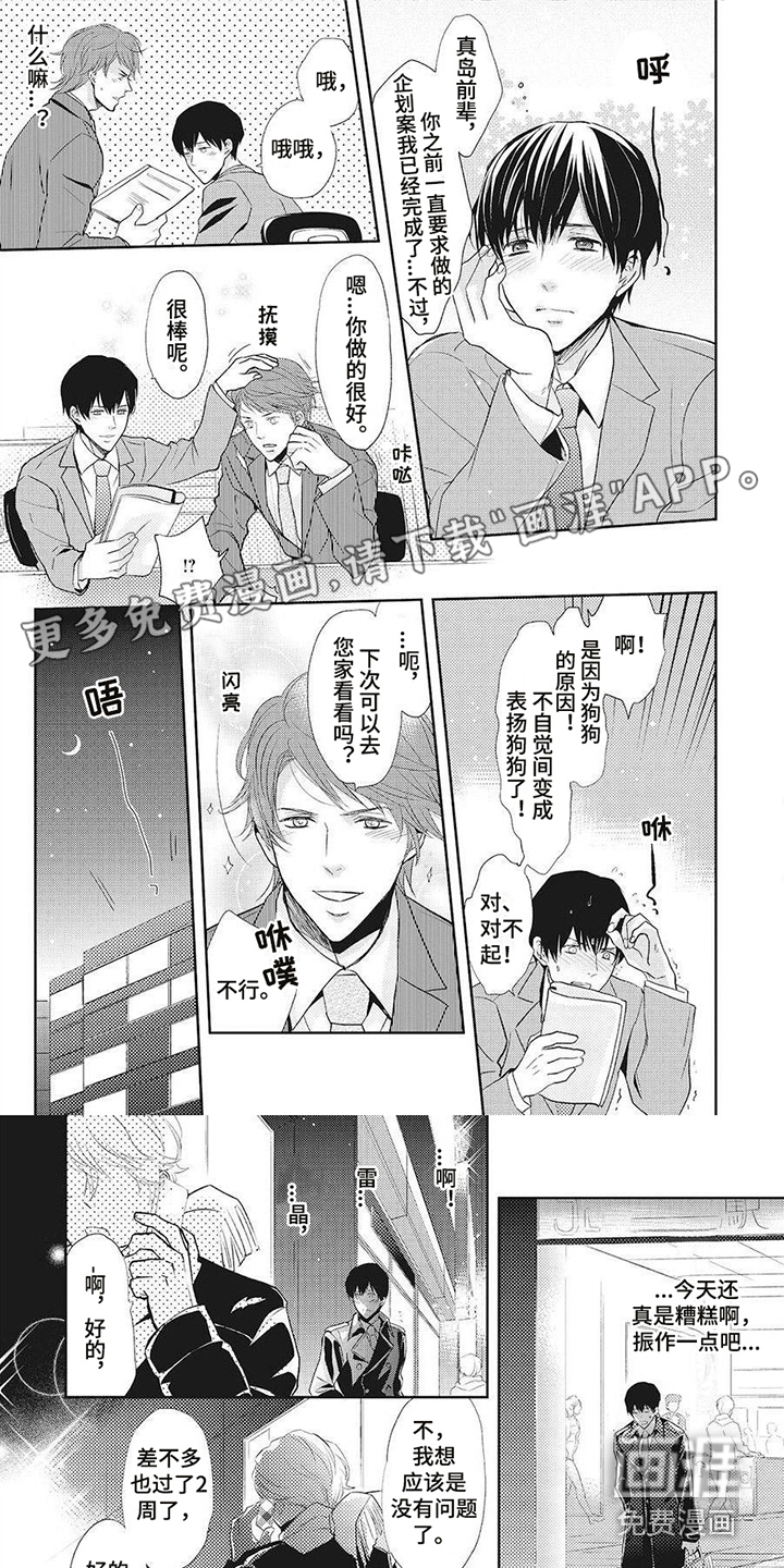 狼的偏爱第9话图