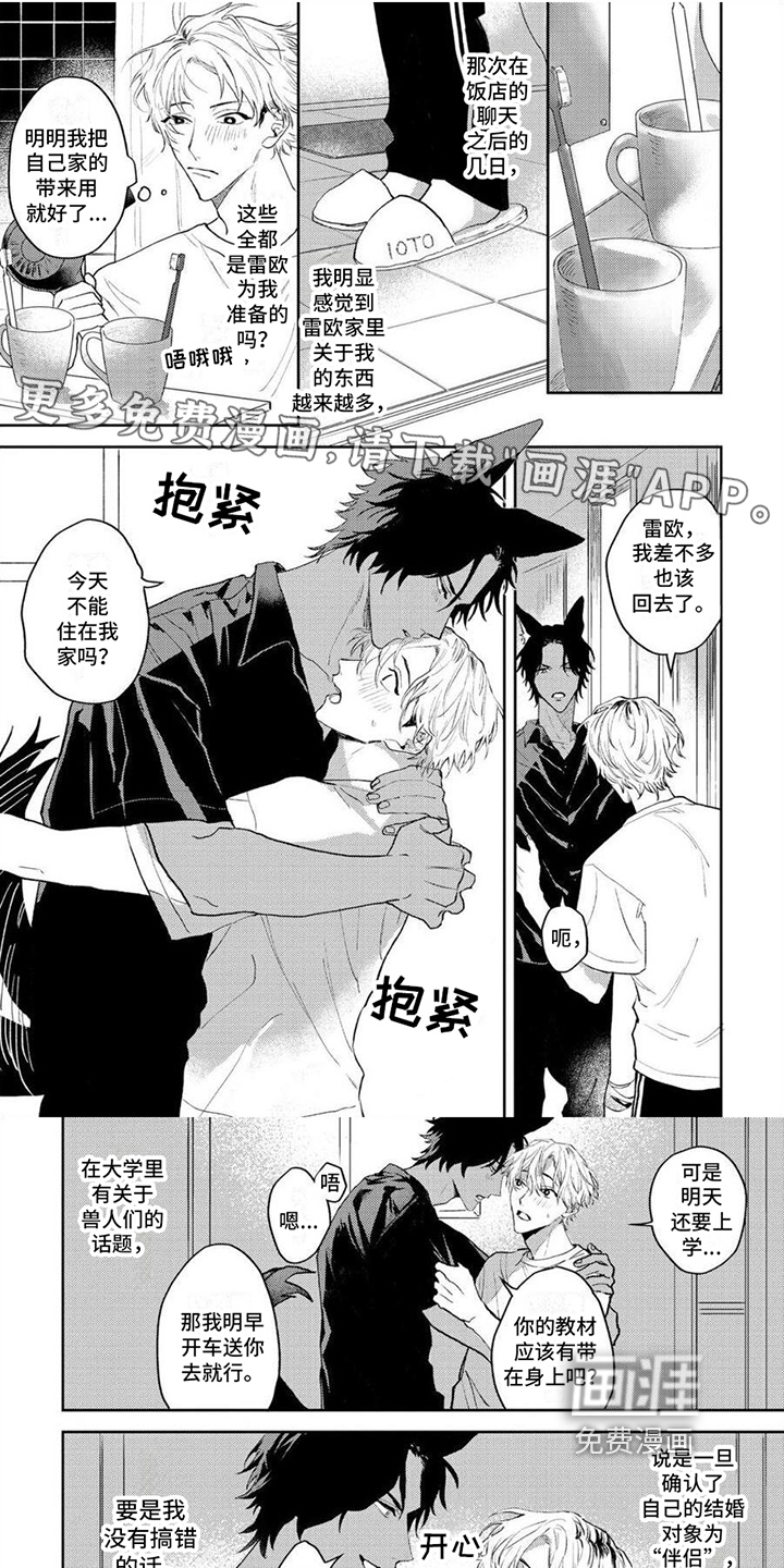 狼的蜜语第10话图