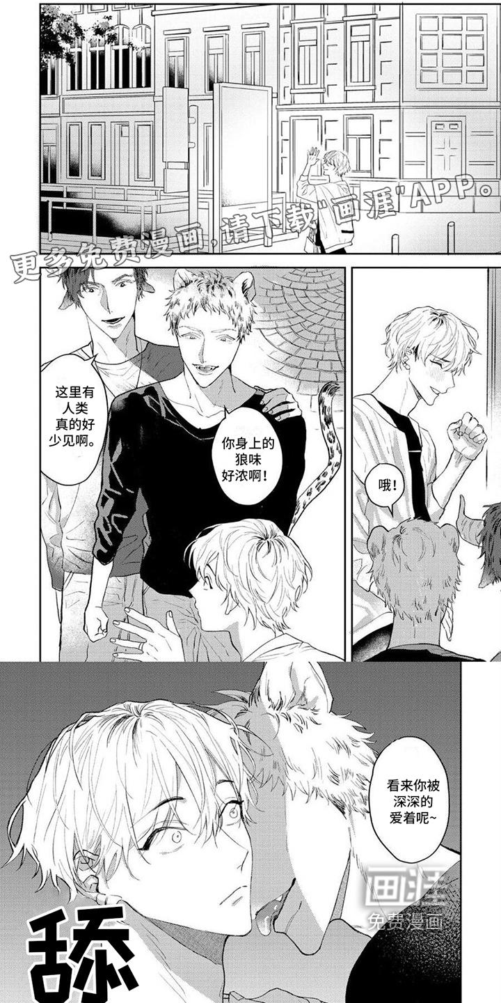 狼的蜜语第12话图