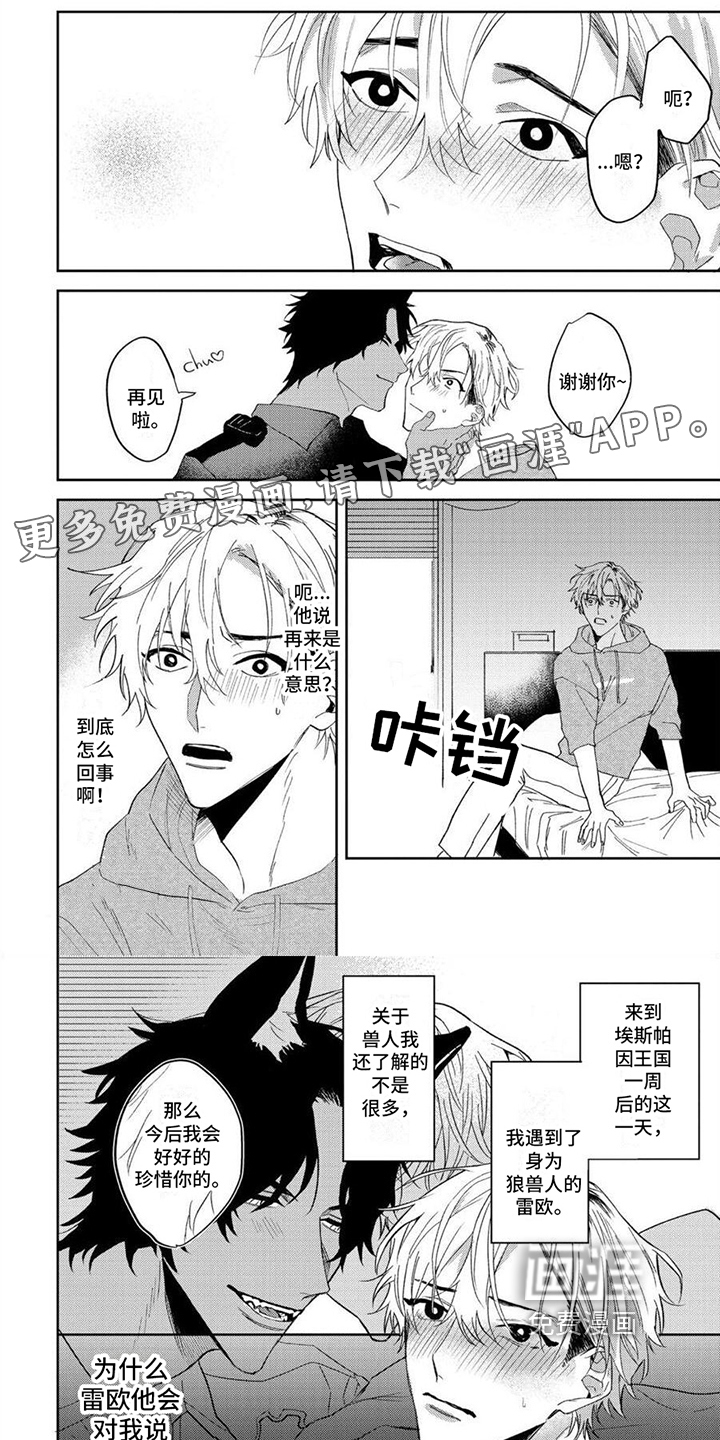 狼的蜜语第4话图