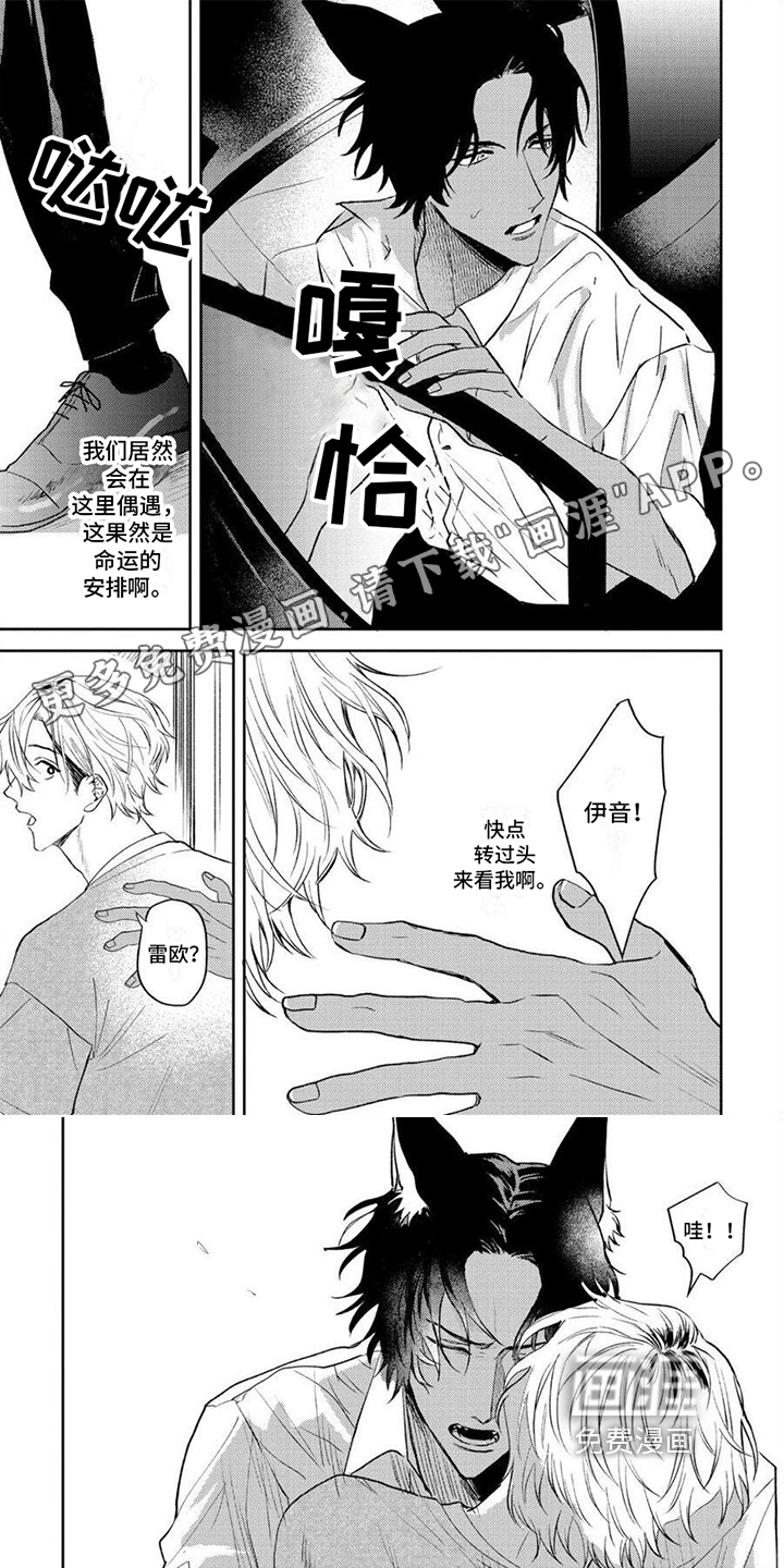 狼的蜜语第8话图