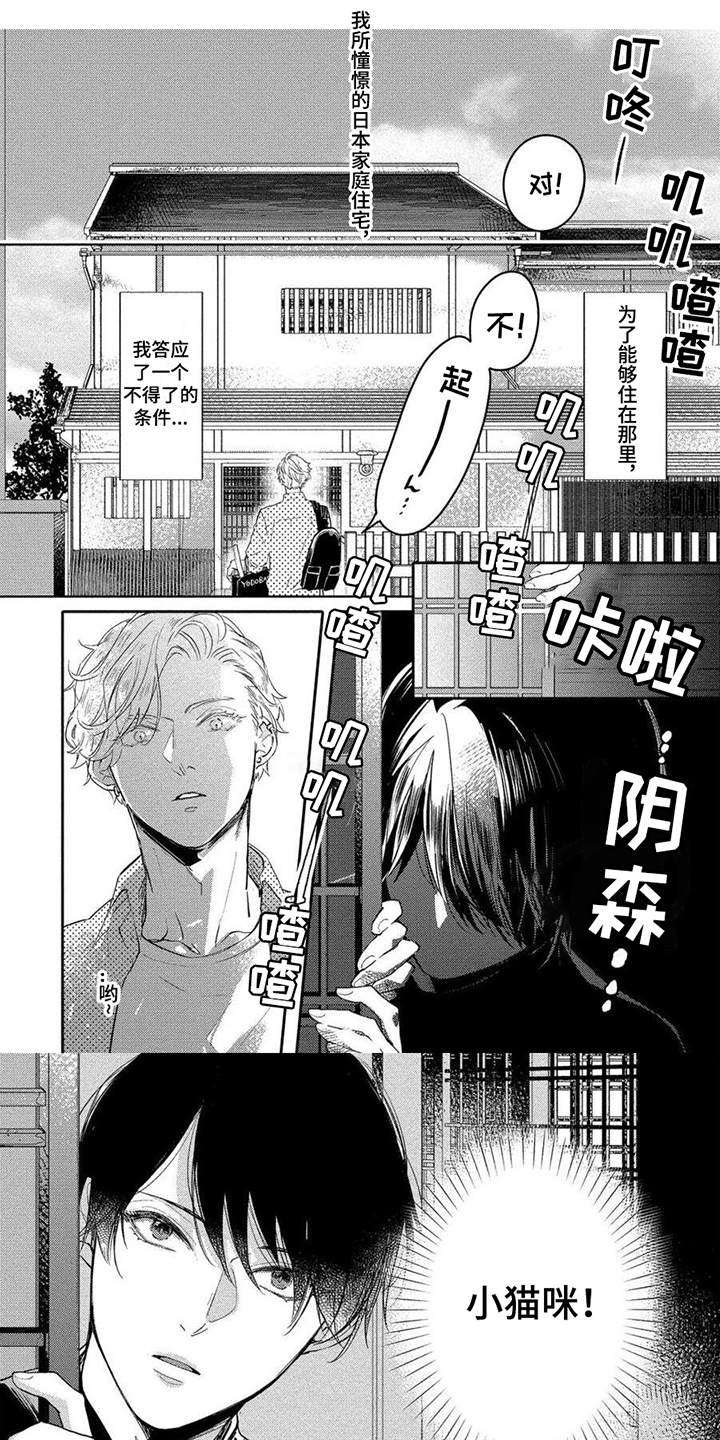 恋爱深情第1话图