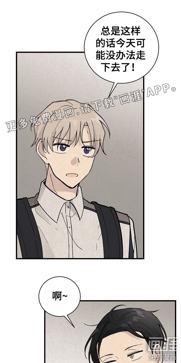 黎明前夕第13话图